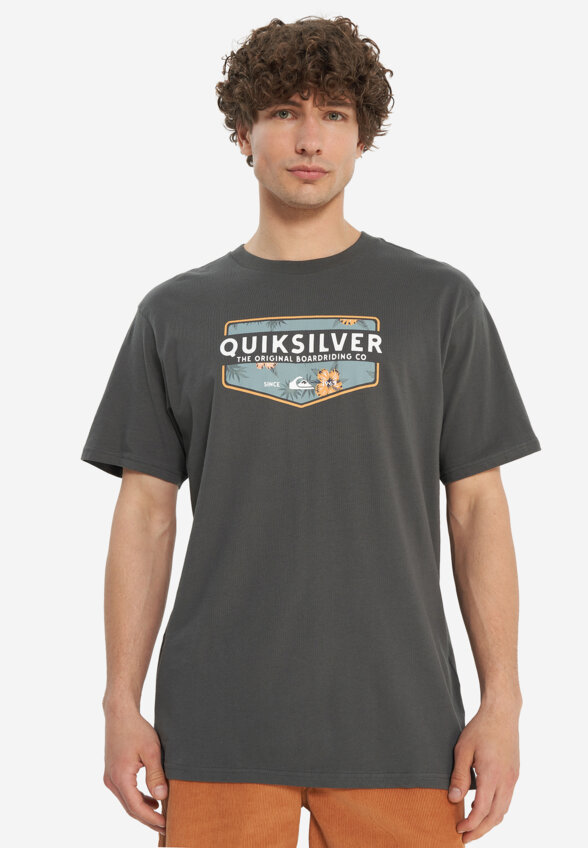 Футболка мужская Quiksilver Ultimate Classic, Серый