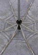 Зонт складной Lamberti6  - превью