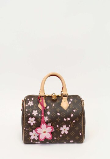 Louis Vuitton Speedy