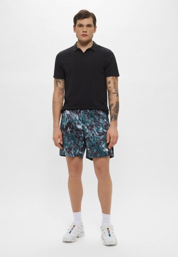 Шорты спортивные The North Face