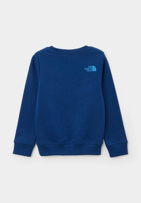 Свитшот The North Face