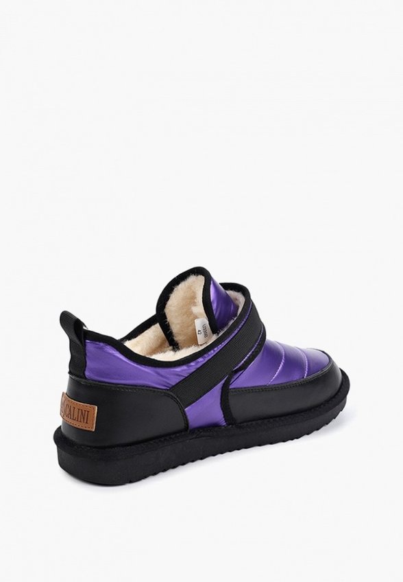 Дутики Ascalini