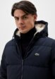 Пуховик Lacoste4  - превью