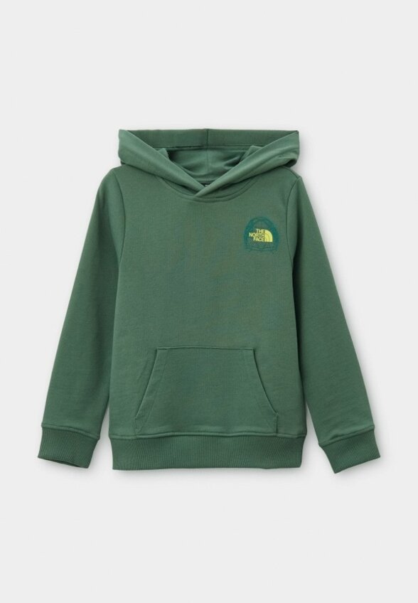 Худи The North Face