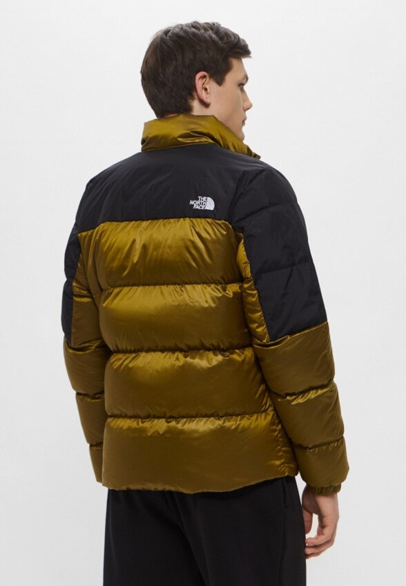 Пуховик The North Face