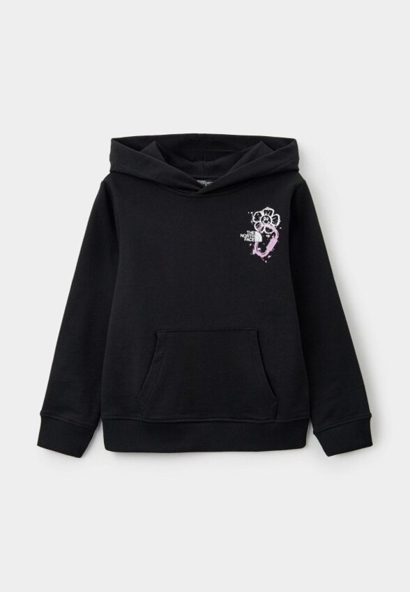 Худи The North Face