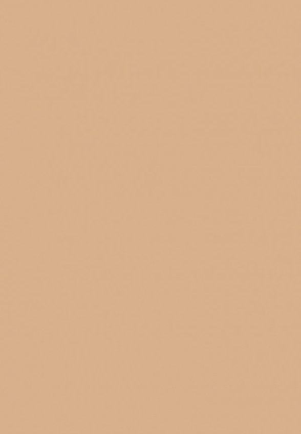 Пудра компактная Pupa