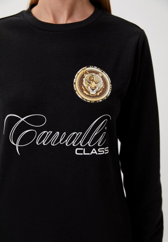 Свитшот Cavalli Class