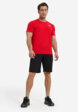 Футболка мужская The North Face Lightning Alpine, Красный4  - превью