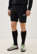 Шорты спортивные Demix1  - превью