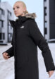 Пуховик женский The North Face Arctic, Черный1  - превью