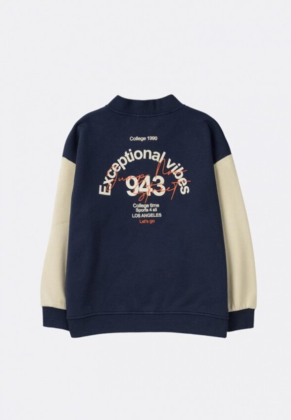 Олимпийка Artie