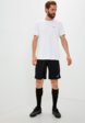 Шорты спортивные Demix2  - превью