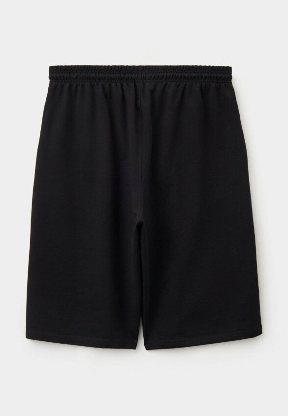 Шорты спортивные Mr Bigman