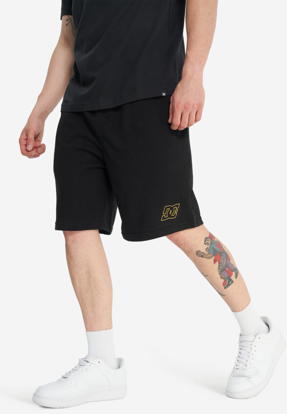 Шорты мужские DC Shoes Anafront, Черный