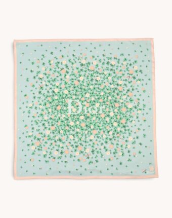Dior Scarf женщинам