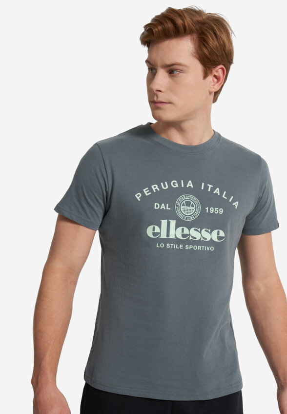 Футболка мужская Ellesse, Серый
