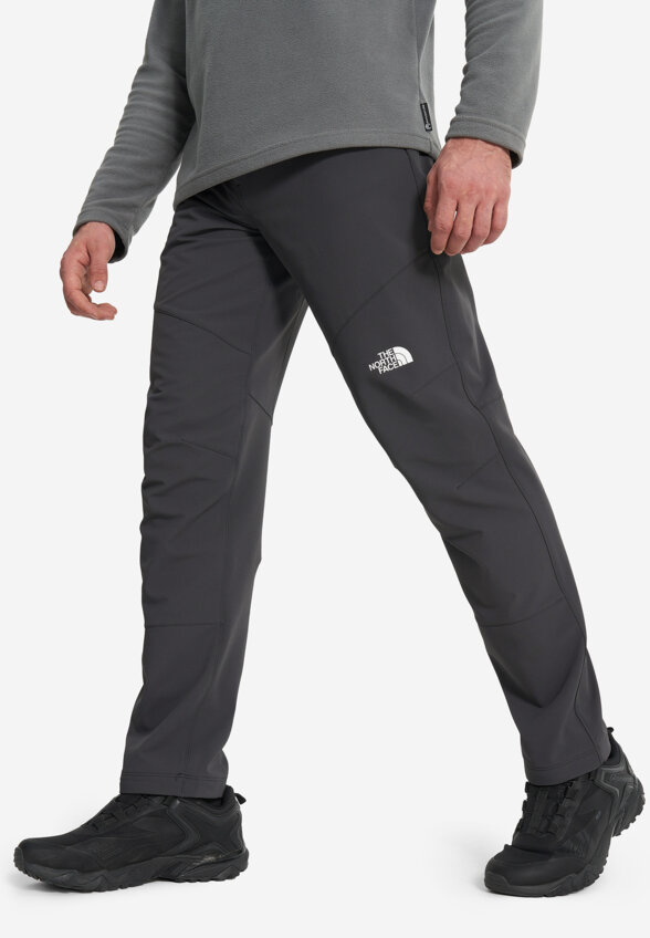 Брюки мужские The North Face Diablo Reg, Серый