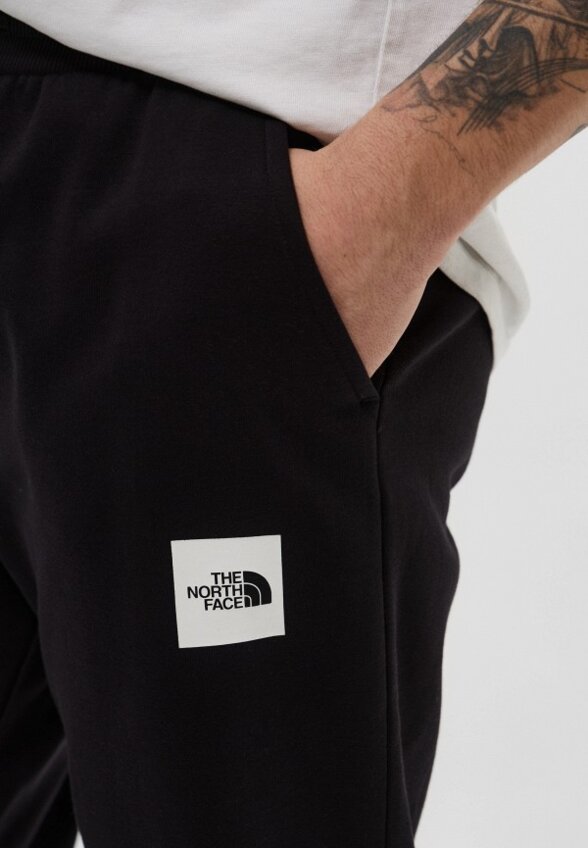 Брюки спортивные The North Face