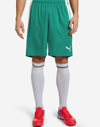 Шорты мужские PUMA teamLIGA, Зеленый женщинам