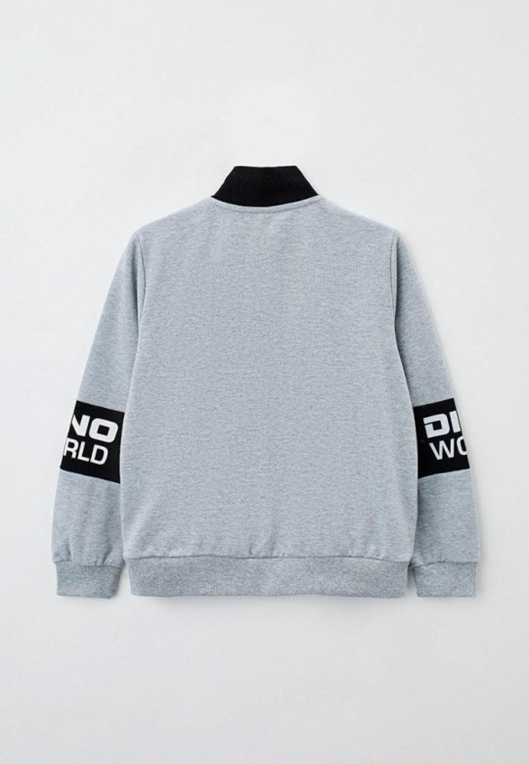 Олимпийка PlayToday