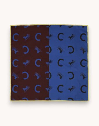 Celine Scarf женщинам