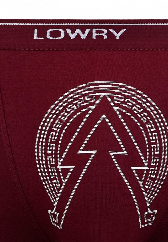 Трусы Lowry Collection