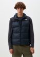 Жилет утепленный The North Face1  - превью
