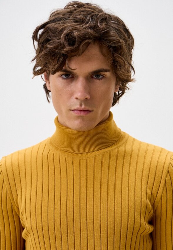 Водолазка Troy Collezione