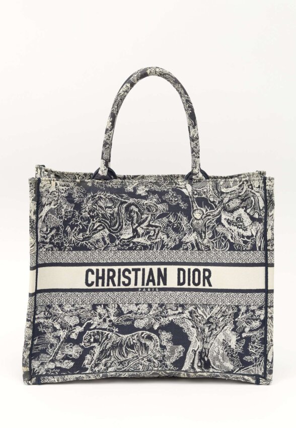 Dior Book Tote