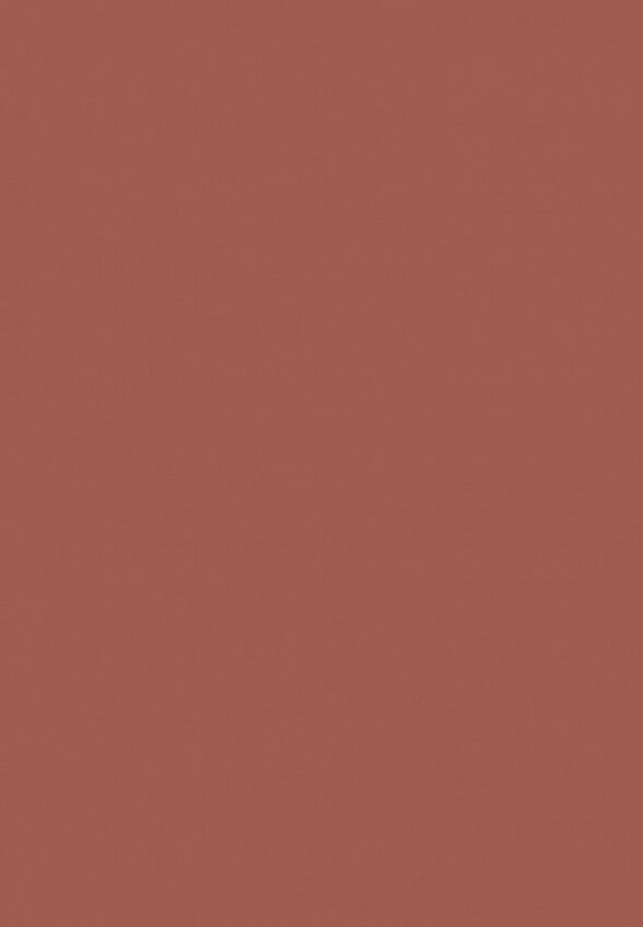 Помада жидкая L'Oreal Paris