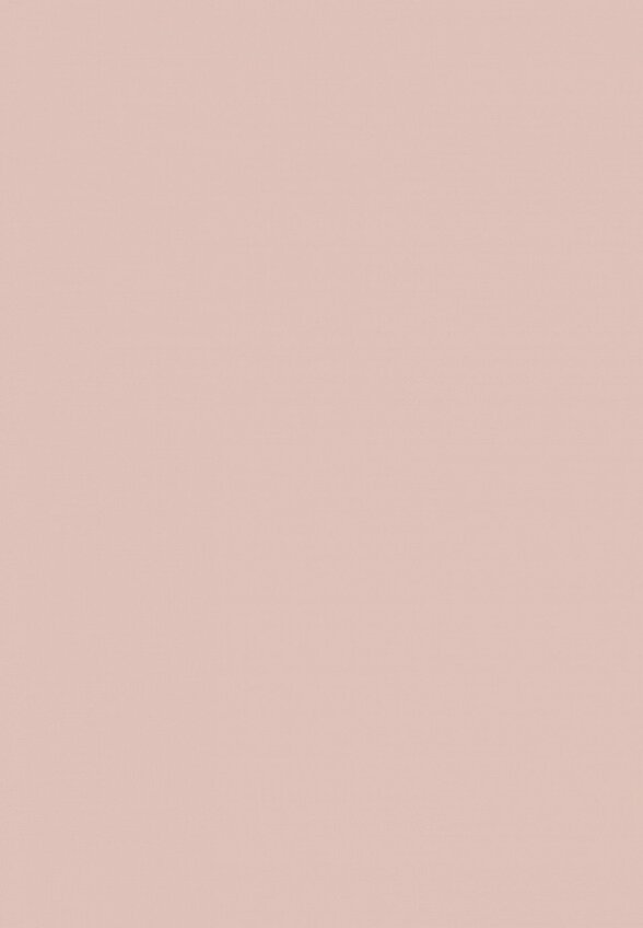 Тональная основа Influence Beauty