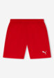 Шорты мужские PUMA Teamrise, Красный8  - превью