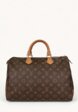 Louis Vuitton Speedy1  - превью