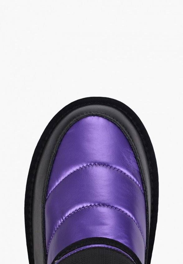 Дутики Ascalini