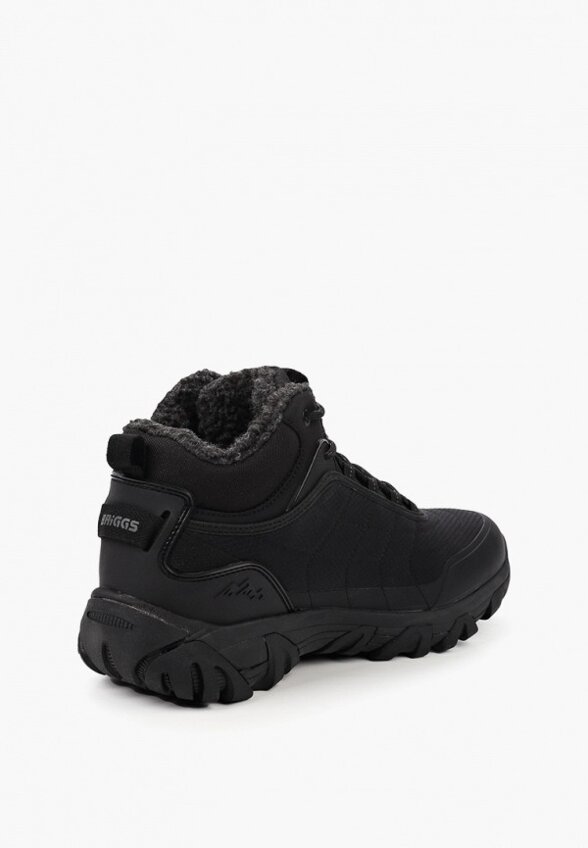 Ботинки трекинговые Briggs