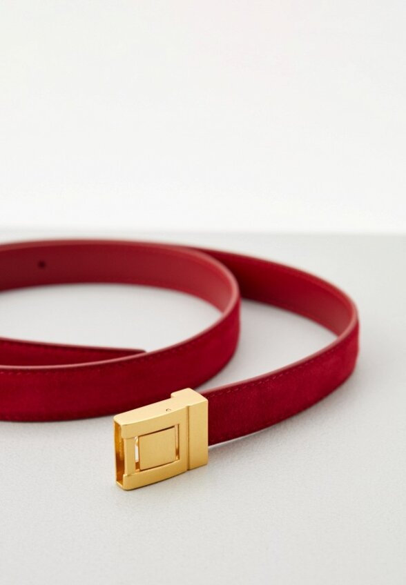 Ремень Ekonika Premium