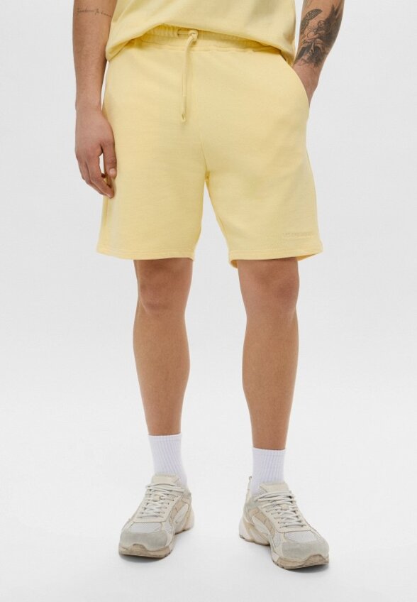 Шорты спортивные Les Benjamins