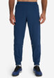 Брюки мужские Demix, Синий2  - превью