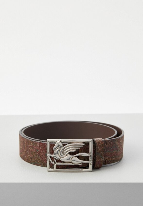 Ремень Etro
