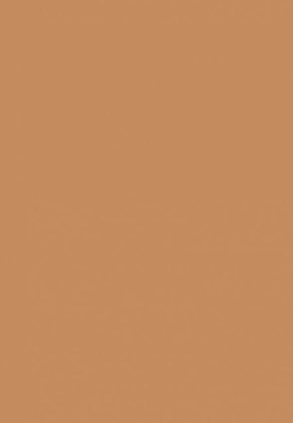 Тональный крем Arive Makeup