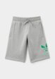 Шорты спортивные adidas Originals1  - превью