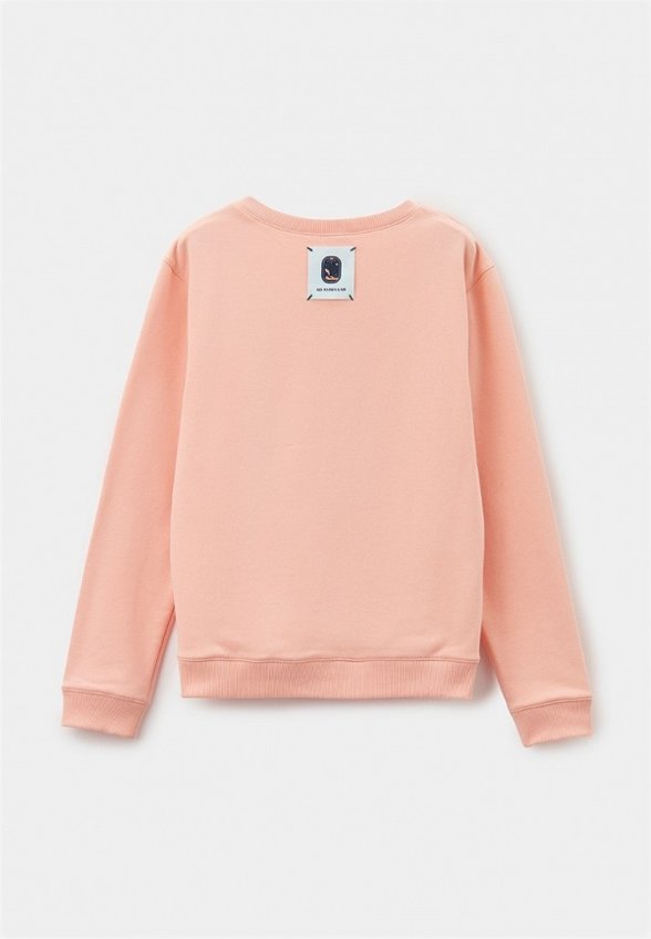 Свитшот Ad Astra Lab