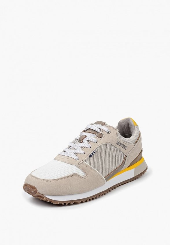 Кроссовки Briggs