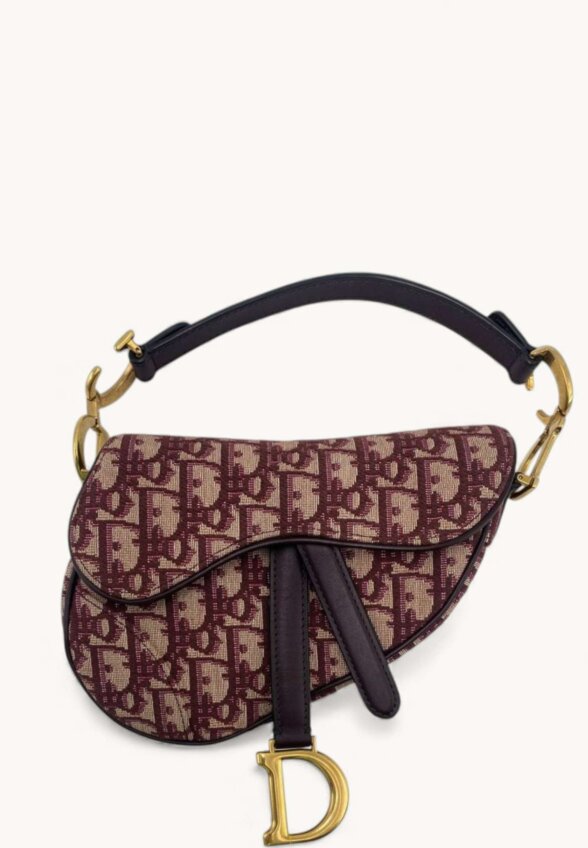 Dior Saddle