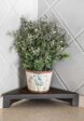 Подставка для кухонных инструментов Фоксвудрус6  - превью