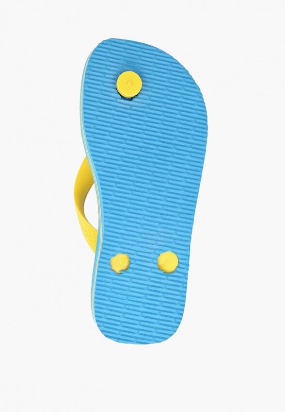 Сланцы Havaianas