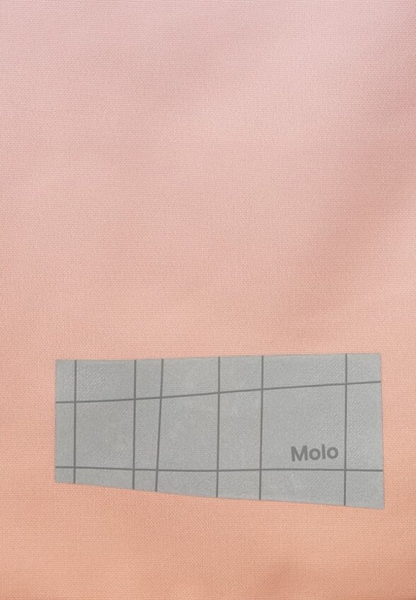 Куртка горнолыжная Molo