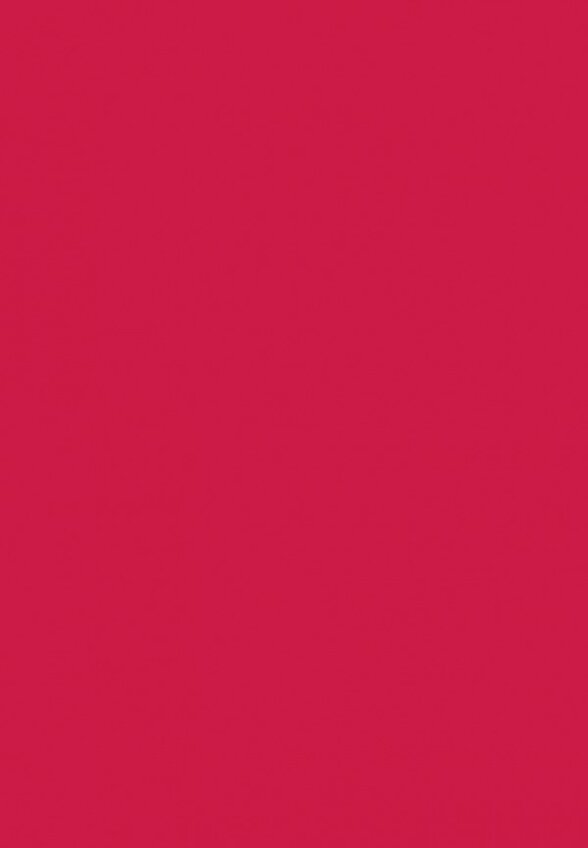 Бальзам оттеночный для губ Arive Makeup