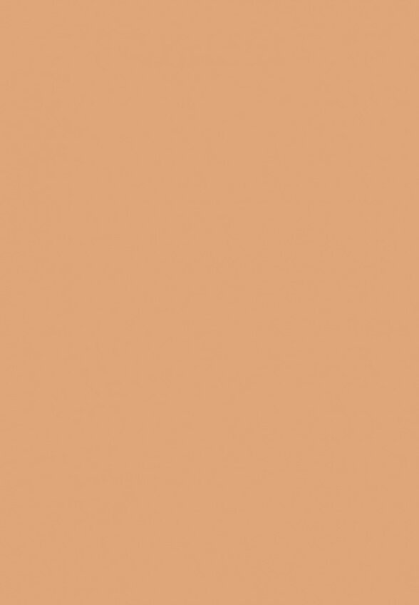 Пудра рассыпчатая Influence Beauty